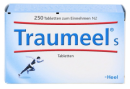 Traumeel 250er.jpg